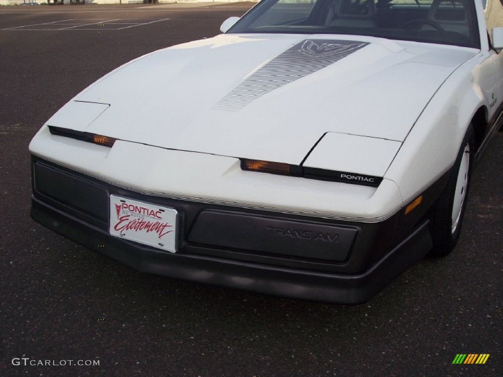 1983 Firebird Trans Am 25th Anniversary Daytona 500 Pace Car Coupe - White / Gray photo #17