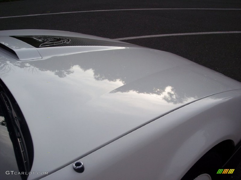 1983 Firebird Trans Am 25th Anniversary Daytona 500 Pace Car Coupe - White / Gray photo #23