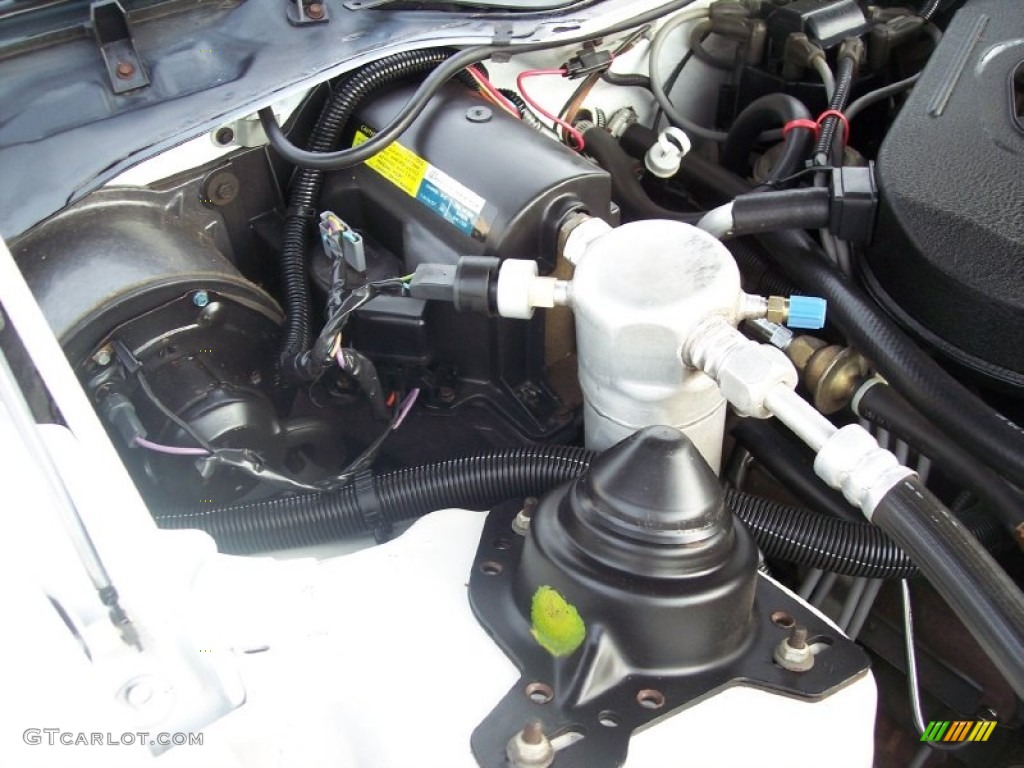 1983 Pontiac Firebird Trans Am 25th Anniversary Daytona 500 Pace Car Coupe Engine Photos