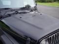 2000 Black Jeep Wrangler Sport 4x4  photo #20