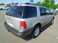 Silver Birch Metallic - Mountaineer V6 AWD Photo No. 7