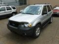 2005 Silver Metallic Ford Escape XLT V6 4WD  photo #3