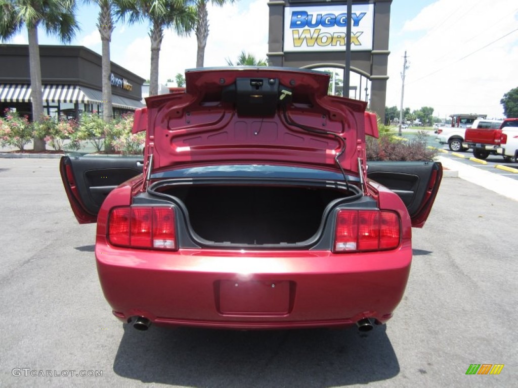 2007 Mustang GT Premium Coupe - Redfire Metallic / Dark Charcoal photo #23