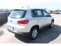 White Gold Metallic - Tiguan S Photo No. 9