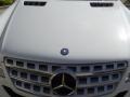 Arctic White - ML 350 Photo No. 11