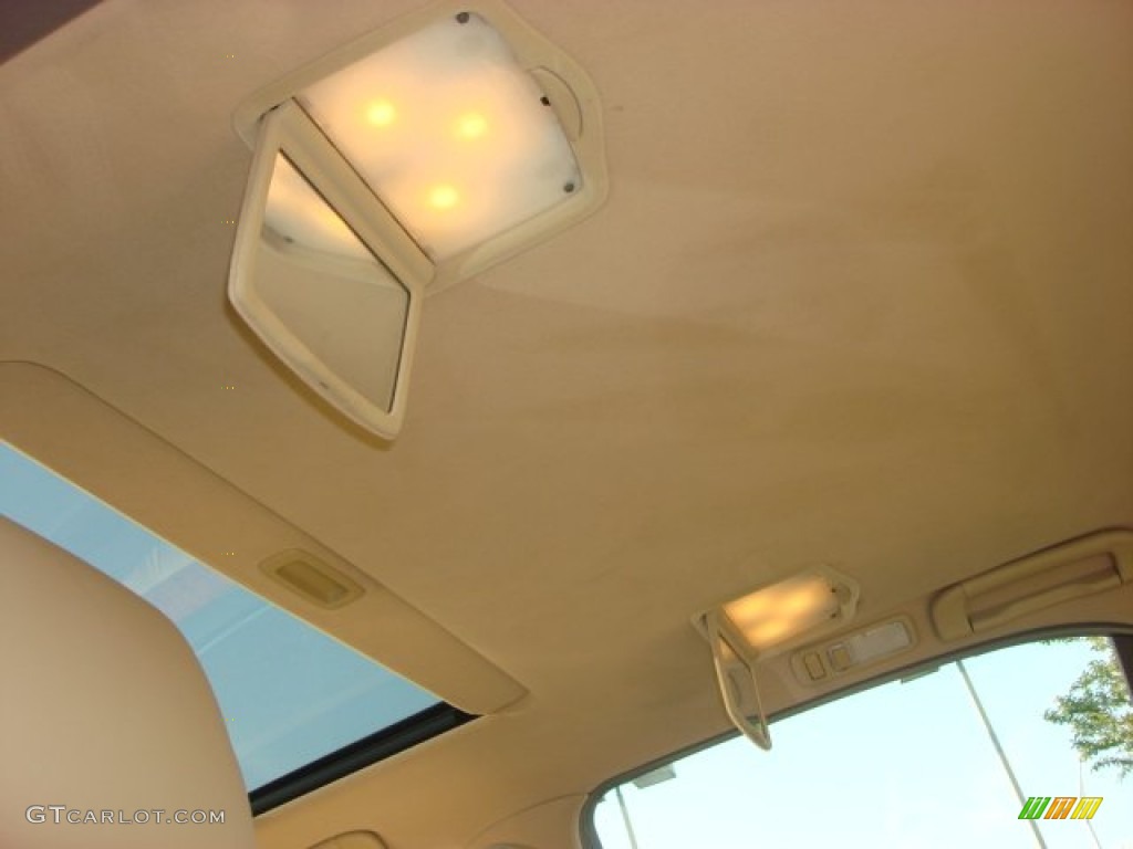 2005 LS 430 Sedan - Briarwood Pearl / Cashmere photo #11