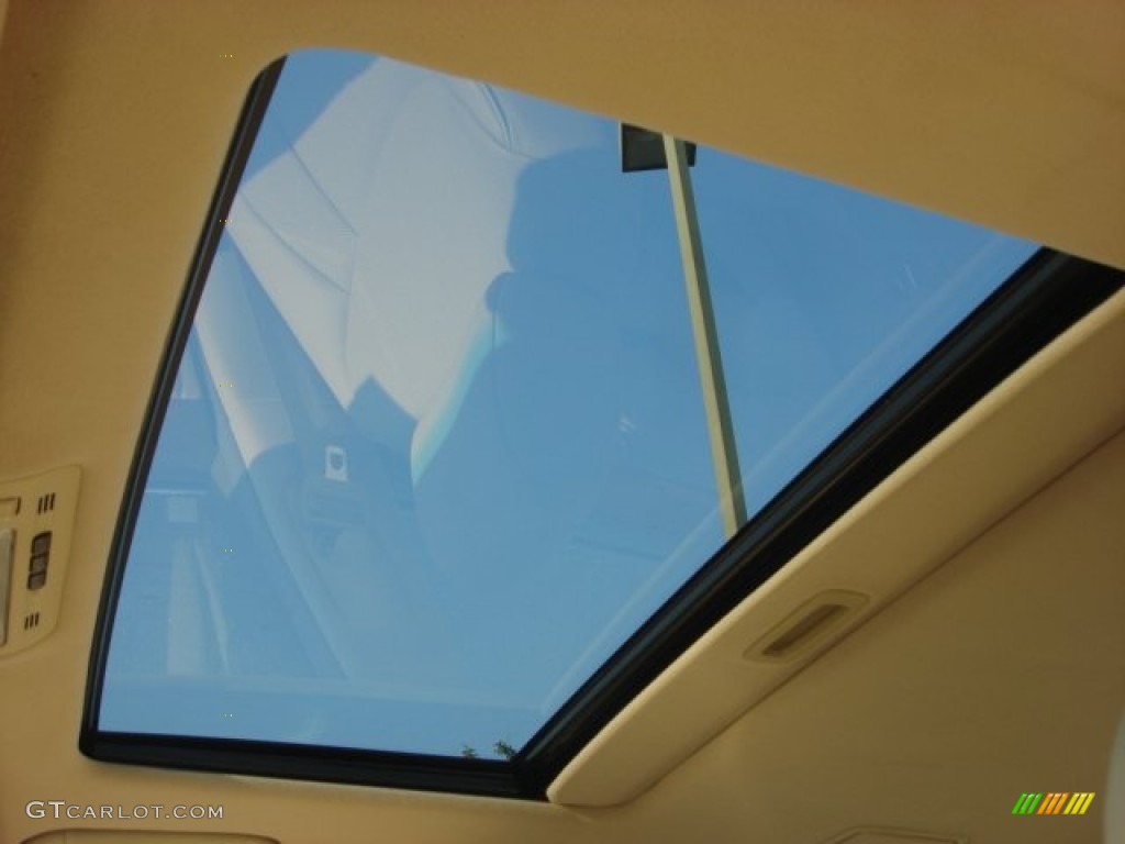 2005 LS 430 Sedan - Briarwood Pearl / Cashmere photo #13