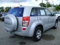 Quicksilver Metallic - Grand Vitara  Photo No. 7