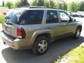 2009 Graystone Metallic Chevrolet TrailBlazer LT 4x4  photo #5