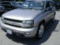 Light Pewter Metallic - TrailBlazer LT 4x4 Photo No. 1