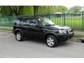 Java Black Pearl - Freelander SE Photo No. 4