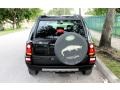 Java Black Pearl - Freelander SE Photo No. 12