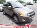 Pyrite Metallic - RAV4 Limited Photo No. 1