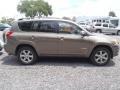 Pyrite Metallic - RAV4 Limited Photo No. 3