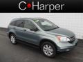 Opal Sage Metallic - CR-V SE 4WD Photo No. 1