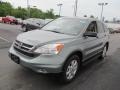 2011 Opal Sage Metallic Honda CR-V SE 4WD  photo #5