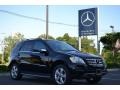 Black - ML 350 4Matic Photo No. 1