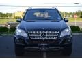 Black - ML 350 4Matic Photo No. 2