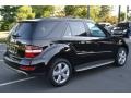 Black - ML 350 4Matic Photo No. 7