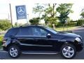 Black - ML 350 4Matic Photo No. 8