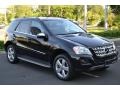Black - ML 350 4Matic Photo No. 22