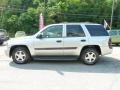 Silverstone Metallic - TrailBlazer LS 4x4 Photo No. 5