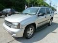 Silverstone Metallic - TrailBlazer LS 4x4 Photo No. 6