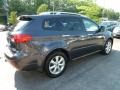 2010 Graphite Gray Metallic Subaru Tribeca 3.6R Touring  photo #5