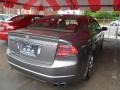 Polished Metal Metallic - TL 3.5 Type-S Photo No. 5