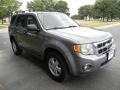 Tungsten Grey Metallic - Escape XLT Photo No. 4