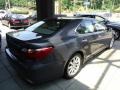Nebula Gray Pearl - LS 460 AWD Photo No. 3