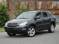 Flint Gray Mica - RX 350 AWD Photo No. 33