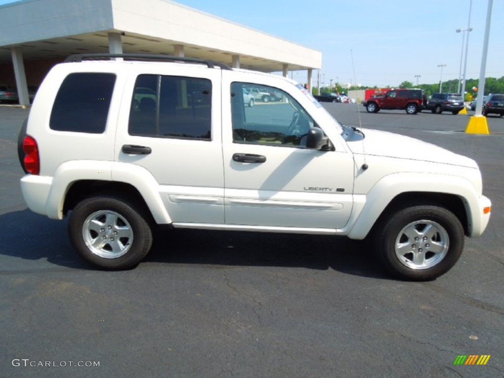 Stone White 2002 Jeep Liberty Limited Exterior Photo #66020317
