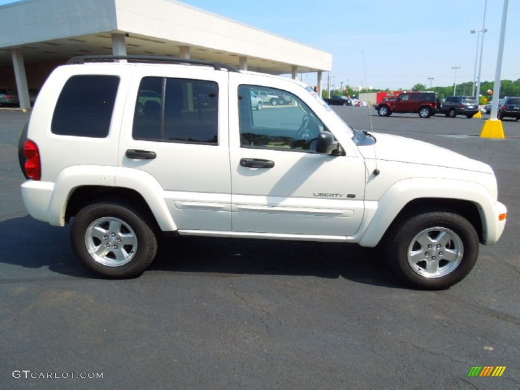 2002 Liberty Limited - Stone White / Taupe photo #8