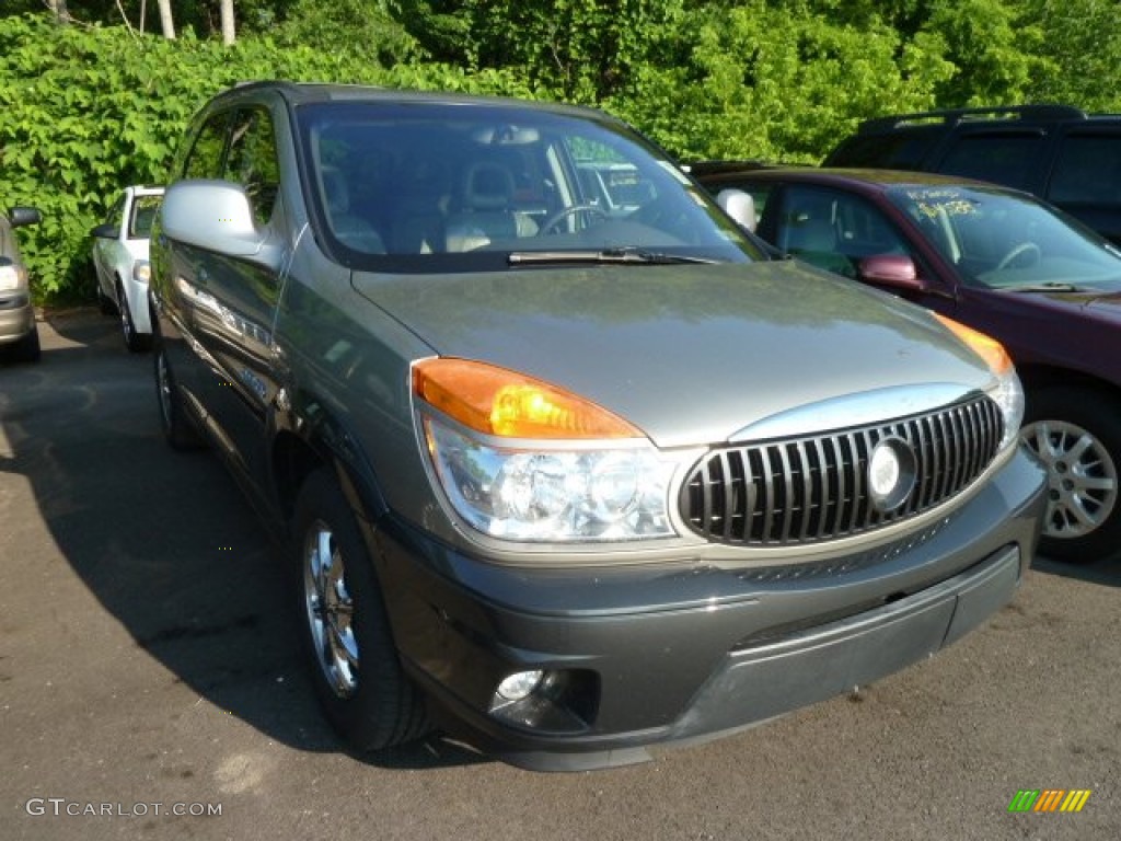 2002 Rendezvous CXL AWD - Pewter Metallic / Dark Gray photo #1