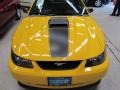 2004 Screaming Yellow Ford Mustang Mach 1 Coupe  photo #3