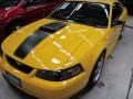 2004 Screaming Yellow Ford Mustang Mach 1 Coupe  photo #4