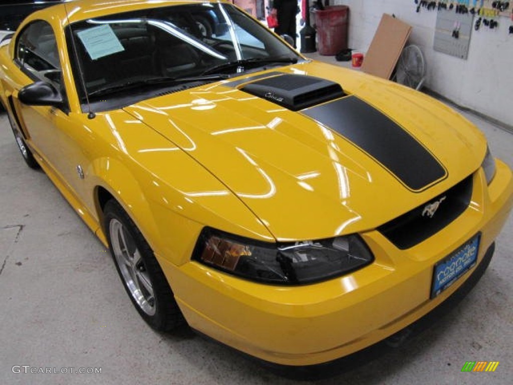 2004 Mustang Mach 1 Coupe - Screaming Yellow / Dark Charcoal photo #5