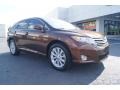 Sunset Bronze Mica 2009 Toyota Venza AWD