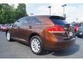 2009 Sunset Bronze Mica Toyota Venza AWD  photo #31