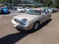Cashmere Tri-Coat - Town Car Sedan Photo No. 1