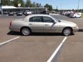 Cashmere Tri-Coat - Town Car Sedan Photo No. 6