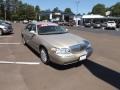 Cashmere Tri-Coat - Town Car Sedan Photo No. 7