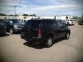 Black - TrailBlazer LS 4x4 Photo No. 5