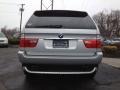 2005 Titanium Silver Metallic BMW X5 4.4i  photo #5