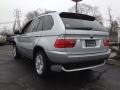 2005 Titanium Silver Metallic BMW X5 4.4i  photo #6