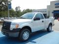 Ingot Silver Metallic - F150 XL Regular Cab Photo No. 1