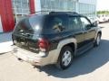 Black - TrailBlazer LTZ 4x4 Photo No. 11
