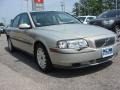 Moondust Metallic - S80 2.9 Photo No. 7