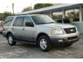 Pewter Metallic - Expedition XLT Photo No. 1